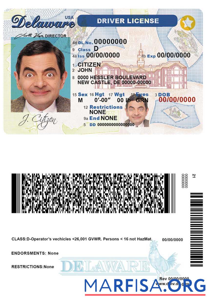 Blank USA Delaware driver license sample